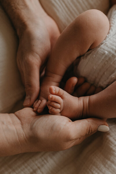 Jamie Neirynck Photography-newborn-Antwerpen-3