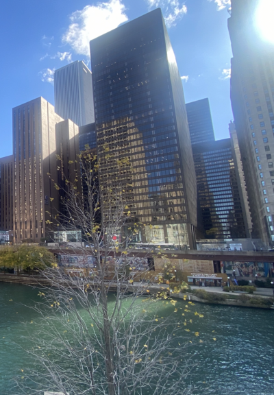 Someone taking out mcdonalds french fries from a package