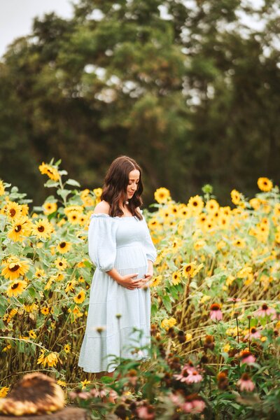Sunflower Maternity - Baltimore wedding photographer