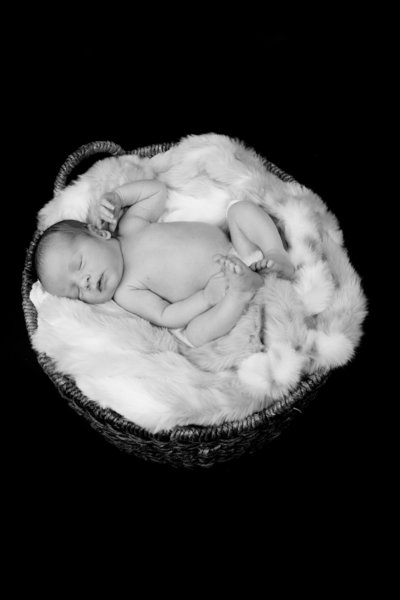 newborn baby in basket photography bay are