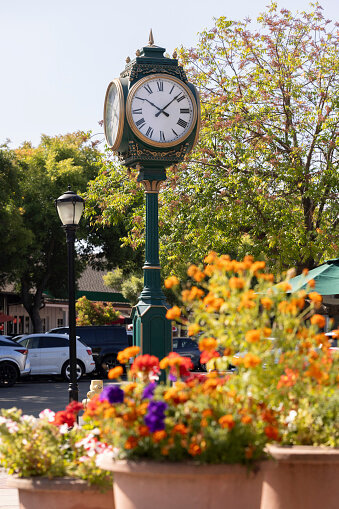 Shady spot under an Oak Tree at Picchetti Winery in Cupertino