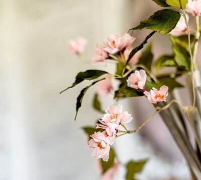 Paper cherry blossom