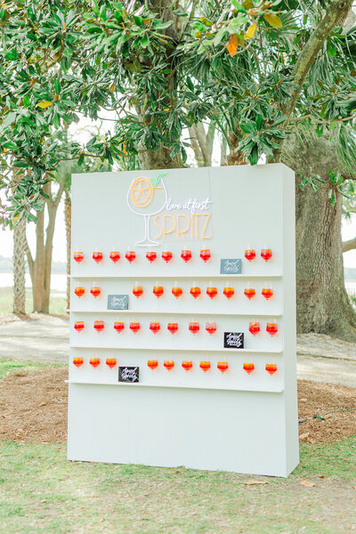 Charleston Proposal Photographer | Laura and Rachel Photography