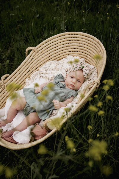 baby in a basket in a the flowers