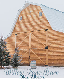 Willow Lane Barn Olds Alberta