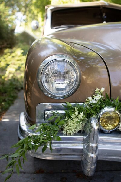 kim-streicher-fGnfAcNiKEY-unsplash