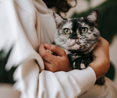 A woman lovingly holding a cat in her arms, showcasing the bond between pets and their owners, emphasizing compassionate pet aquamation and memorial services in Lansing, Michigan.