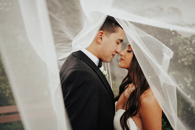bride and groom stand nose to nose under bridal veil