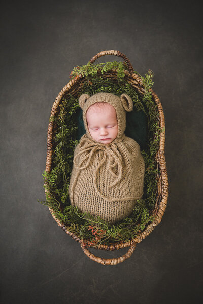 Minimalist newborn portrait — swaddled baby in soft tones, Sausalito photography studio