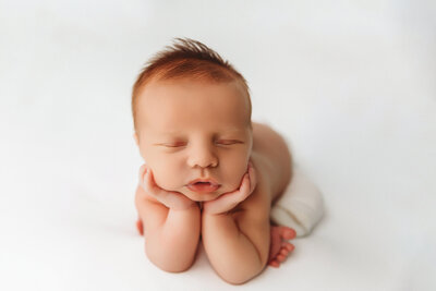 Newborn photographer in phoenix arizona
