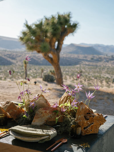 Joshua Tree | Nicole Chapman Design