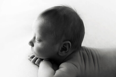 Fort Worth Maternity Photos Newsletter