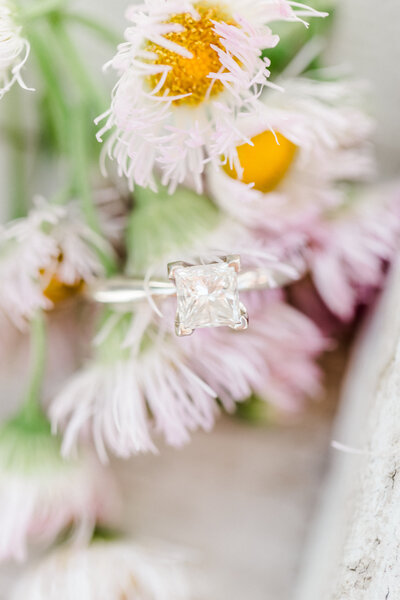 alyssa_gage_engaged-0616