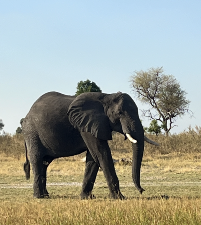 botswana country 1