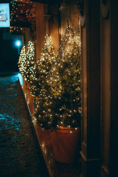 commercial potted shrubs with lights