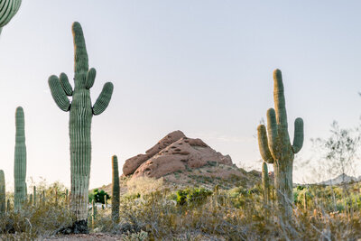Breath taking Arizona Landscape photo by Staci Addison Photography