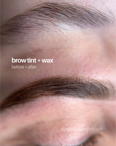 abby brows