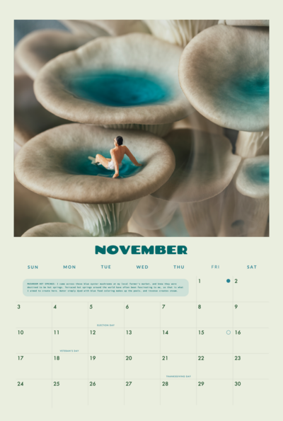 11 November web