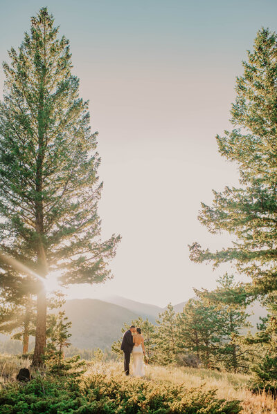 Yosemite National Park Elopement and Wedding Photographer