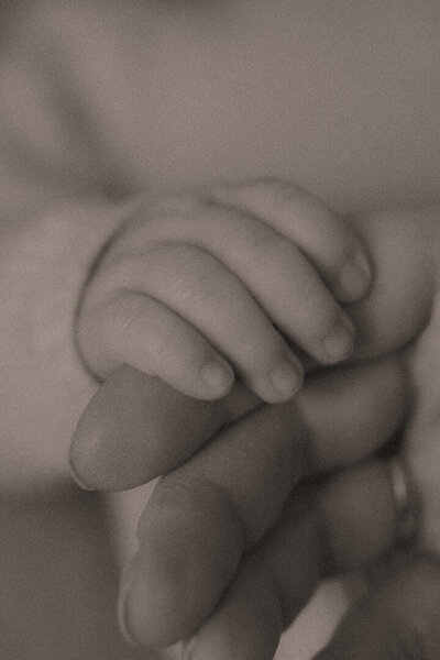 las-vegas-newborn-bw-parent-hand