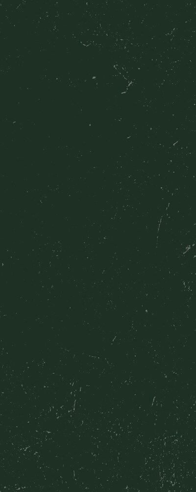 A dark green textured background with white specks scattered across the surface, perfect for highlighting our digital marketing services for small business.