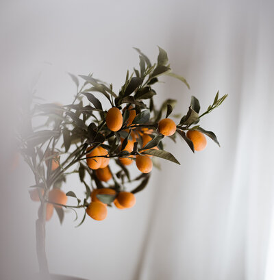 Vibrant orange fruit tree