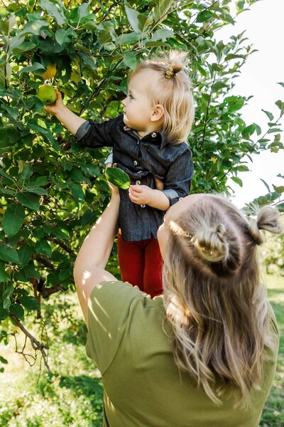 Mom lifts baby girl to pick a green apple from the tree in the orchard