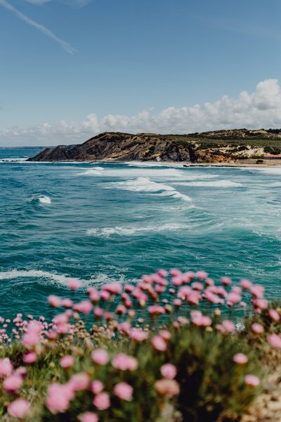 Vibrant flowers in full bloom with the serene sea stretching out in the background, embodying tranquility and natural beauty.
