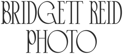 Bridgett Reid Photo Logo