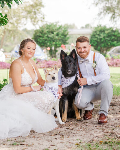 A bride and groom kneel in a garden hugging their two dogs wearing scarfs