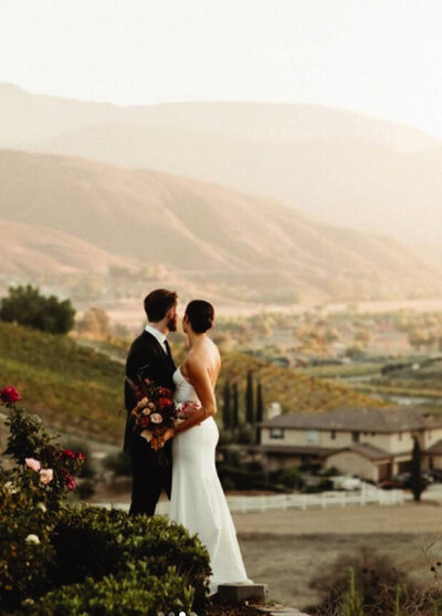 bride and groom looking at mountains