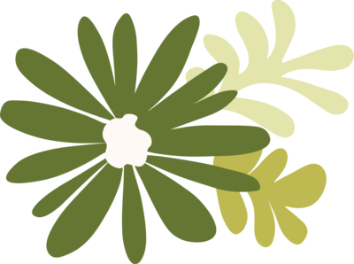 Discovery Montessori School