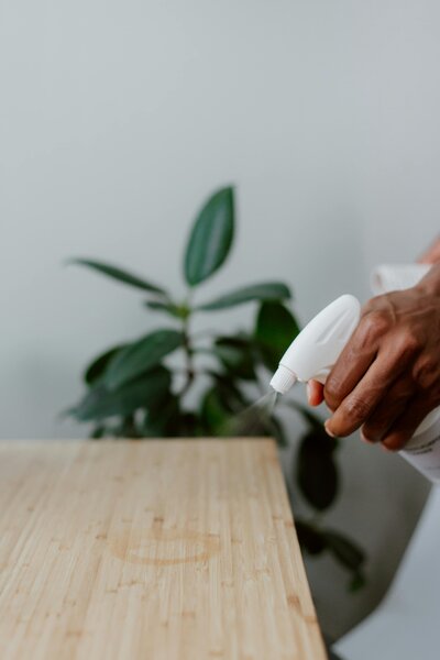 a professional house cleaner cleaning a table with a cleaning spray