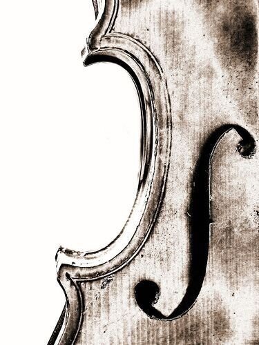 violin illustration