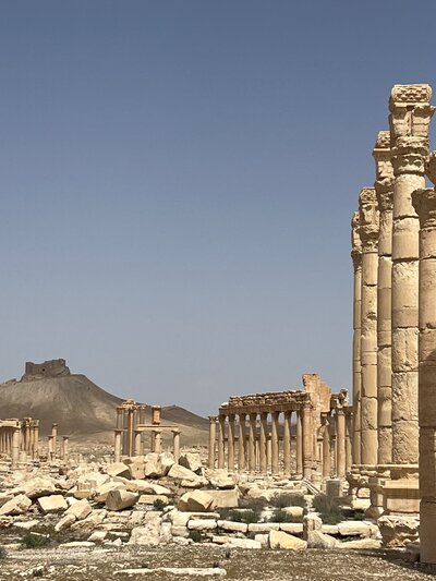 syria 9