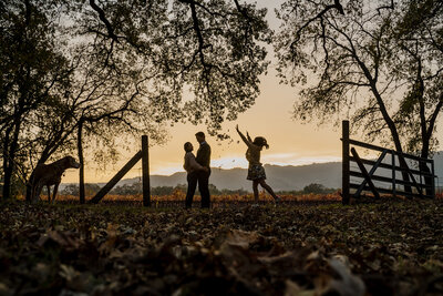 portrait of a couple, child, and dog at sunset in a field