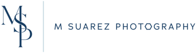 MSP-Horizontal-Logo---Blue