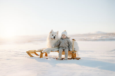 portrattfotograf-kirunafamiljefotograf-gravidfotografering-022