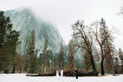 Wedding photo in Yosemite National Park of two women getting married at the base of El Capitan during their adventure elopement.