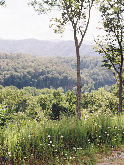 Nature thrives in the hills of North Carolina as seen with the trees and wildflowers, captured on film by destination photographer Megan Lynn of My Sun and Stars Co.
