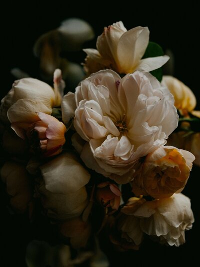 annie-spratt-SIGbdmELmaU-unsplash