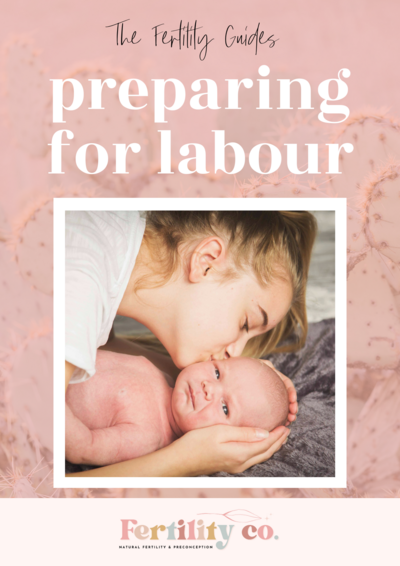 Guide - Preparing for Labour (1)