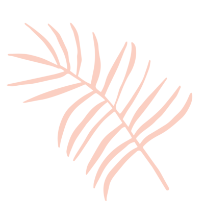 Peach feather graphic