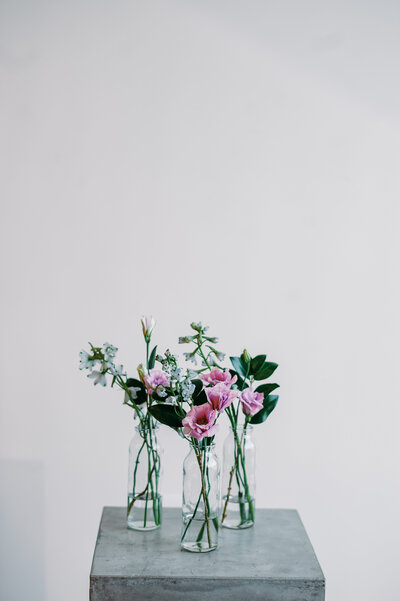 Bud Vases Daphne