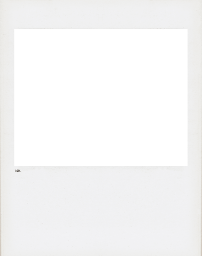 polaroid
