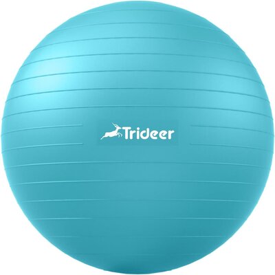 Therapy Ball