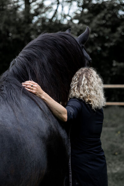 Hand van paardencoach op nek van zwart paard. Sfeervolle fotografie geeft de kracht van coaching met paarden weer. © Studio Ensō