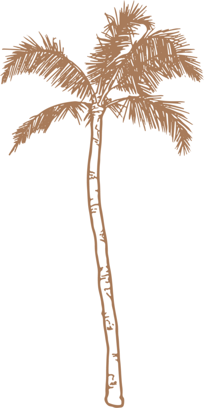 California palm tree illustration
