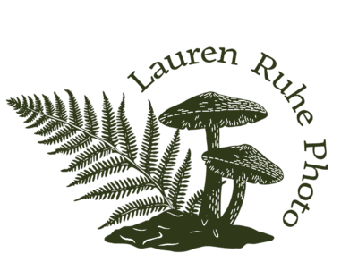 Business Logo with mushrooms and ferns