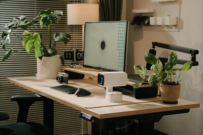 Web Design Support | Renan Calara